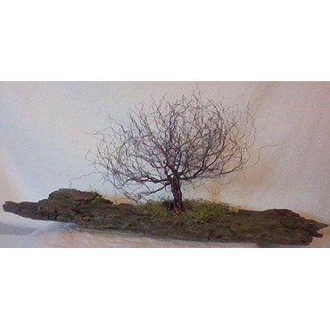 Beauty and the Beach Wire Tree Design