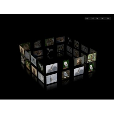 Cuboid Album Screen Saver